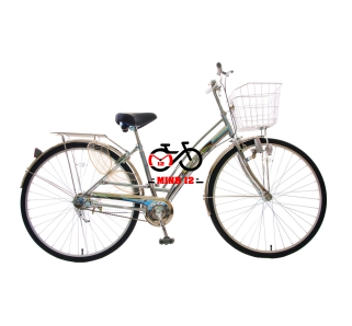 Xe đạp Martin 107 27 Inch