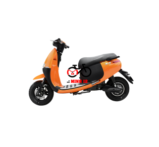 Xe máy điện GOGO