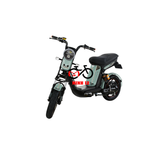 XE ĐIỆN OSAKAR STAR