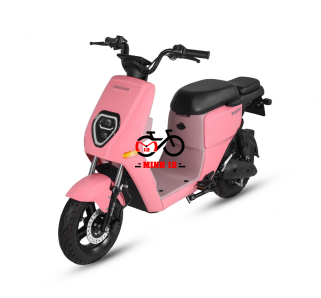 XE ĐIỆN OSAKAR HEIDI 