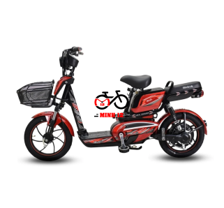 XE ĐẠP ĐIỆN OSAKAR WIN @