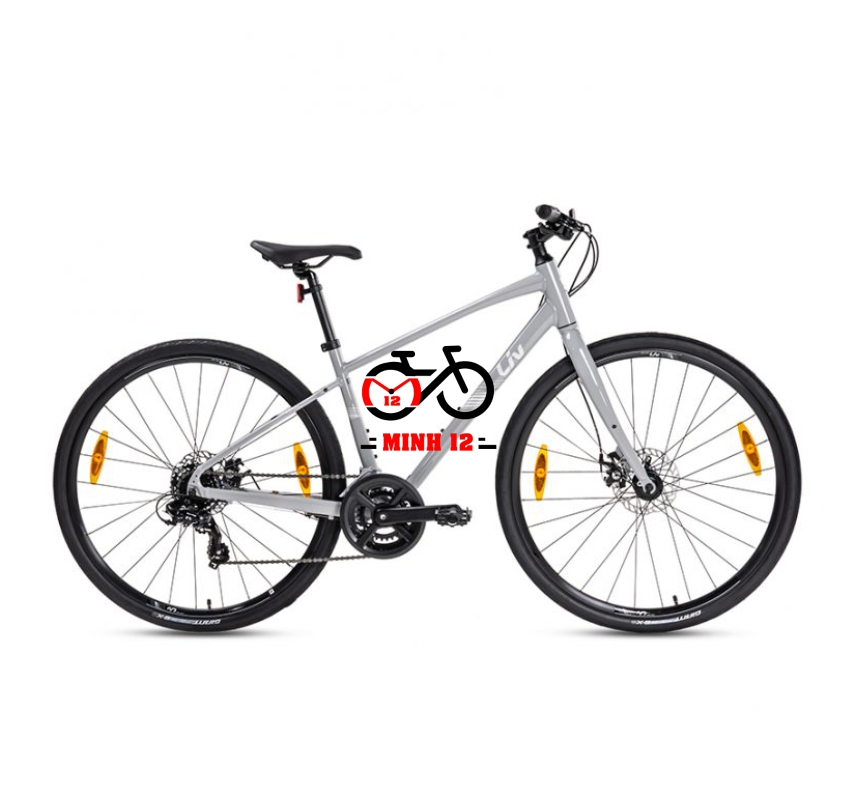 Giant LIV Alight 3 DD Disc