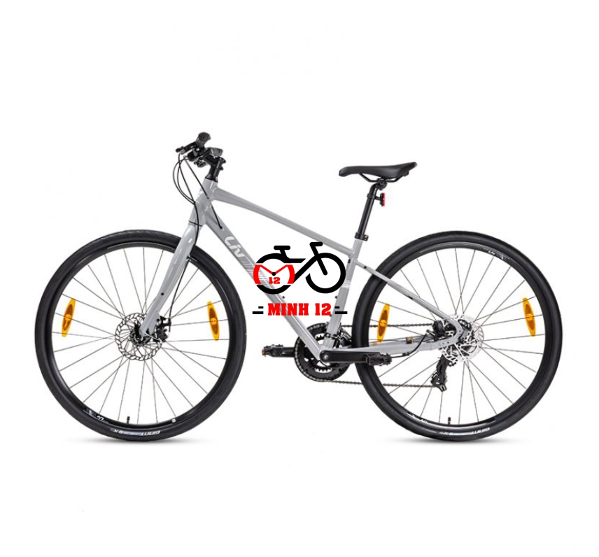 Giant LIV Alight 3 DD Disc