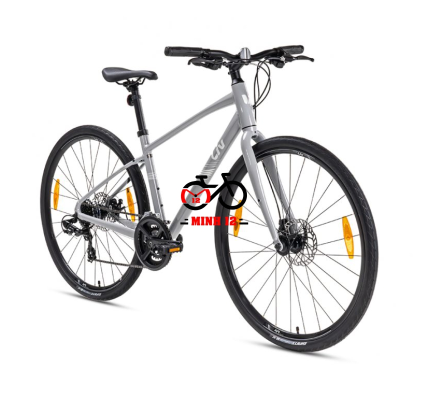 Giant LIV Alight 3 DD Disc