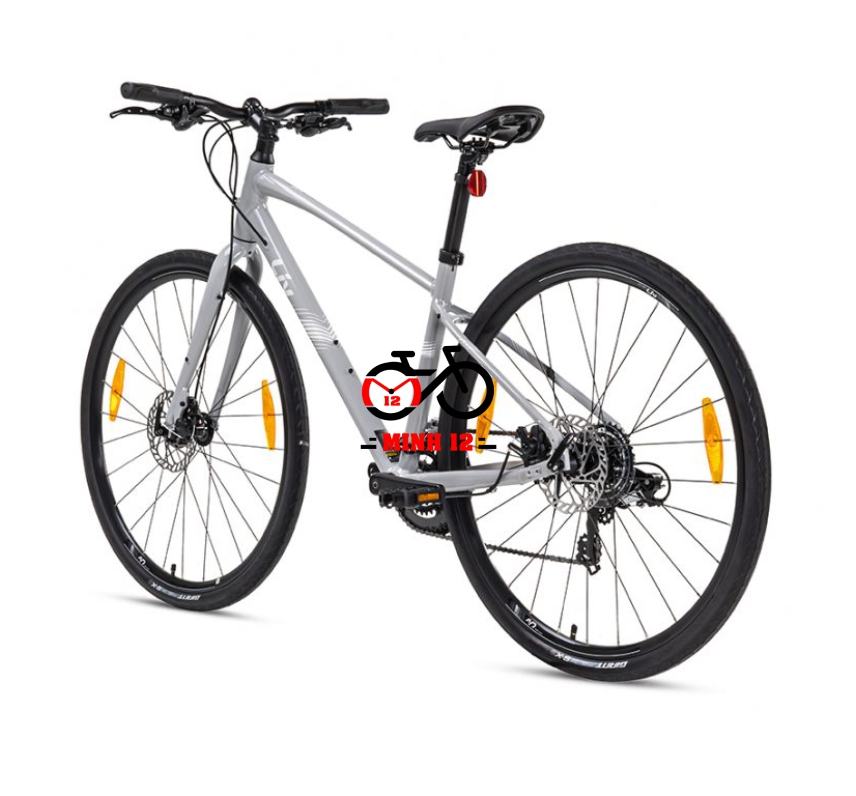 Giant LIV Alight 3 DD Disc