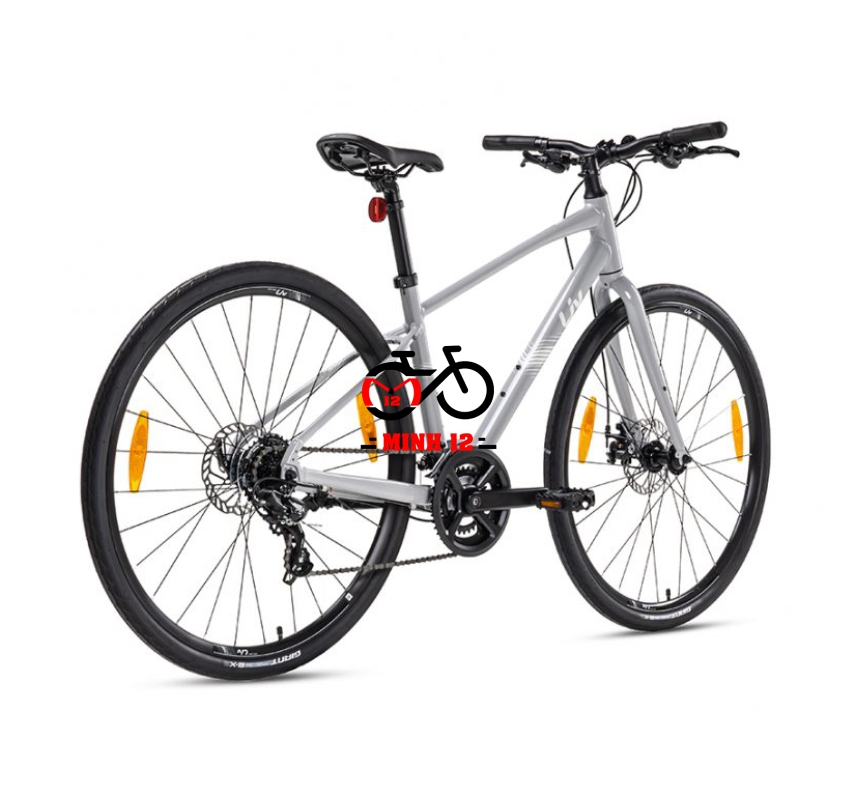 Giant LIV Alight 3 DD Disc