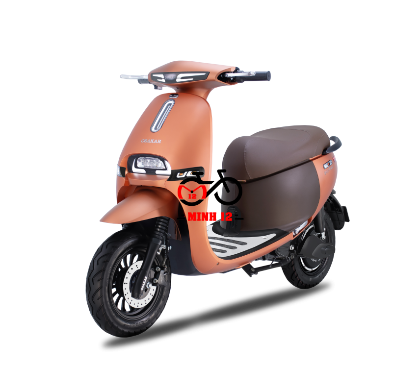Xe máy điện GOGO FIONA