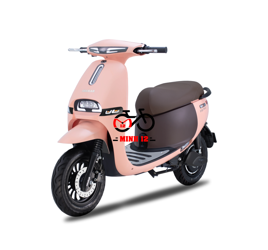 Xe máy điện GOGO FIONA
