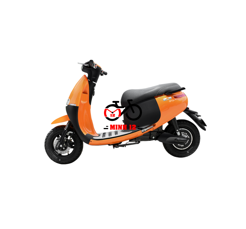 Xe máy điện GOGO