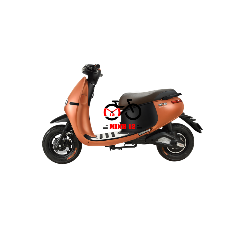 Xe máy điện GOGO STELLA