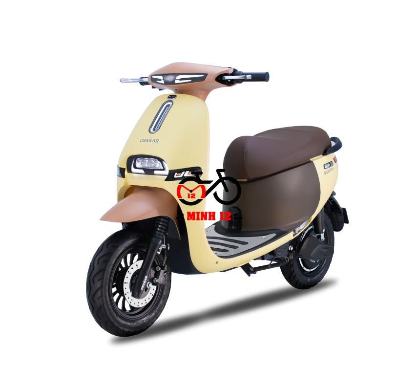 Xe máy điện GOGO FIONA