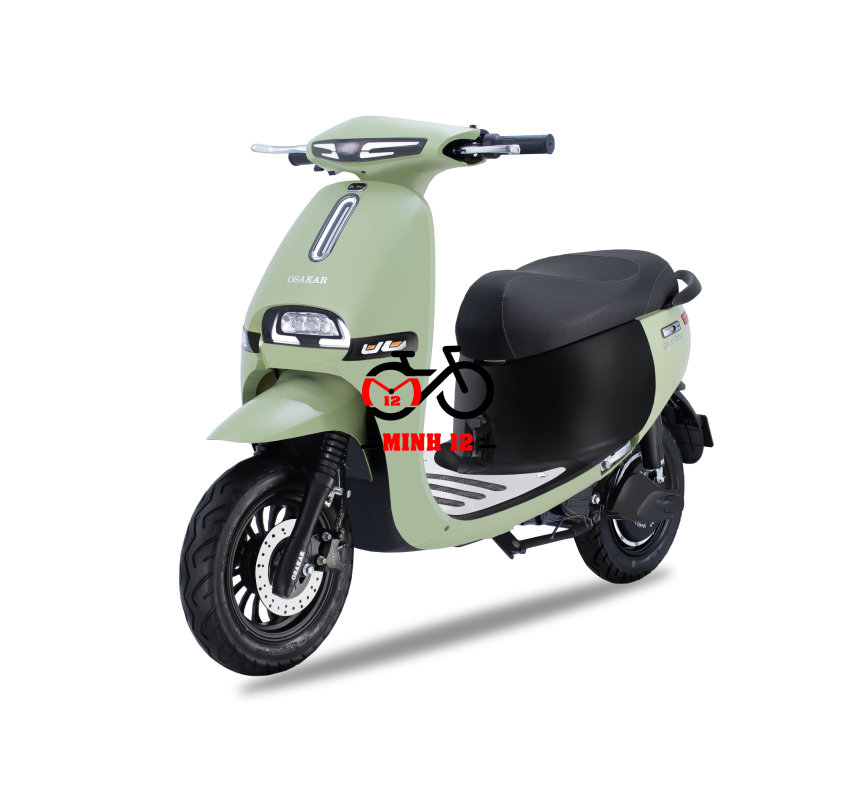 Xe máy điện GOGO FIONA