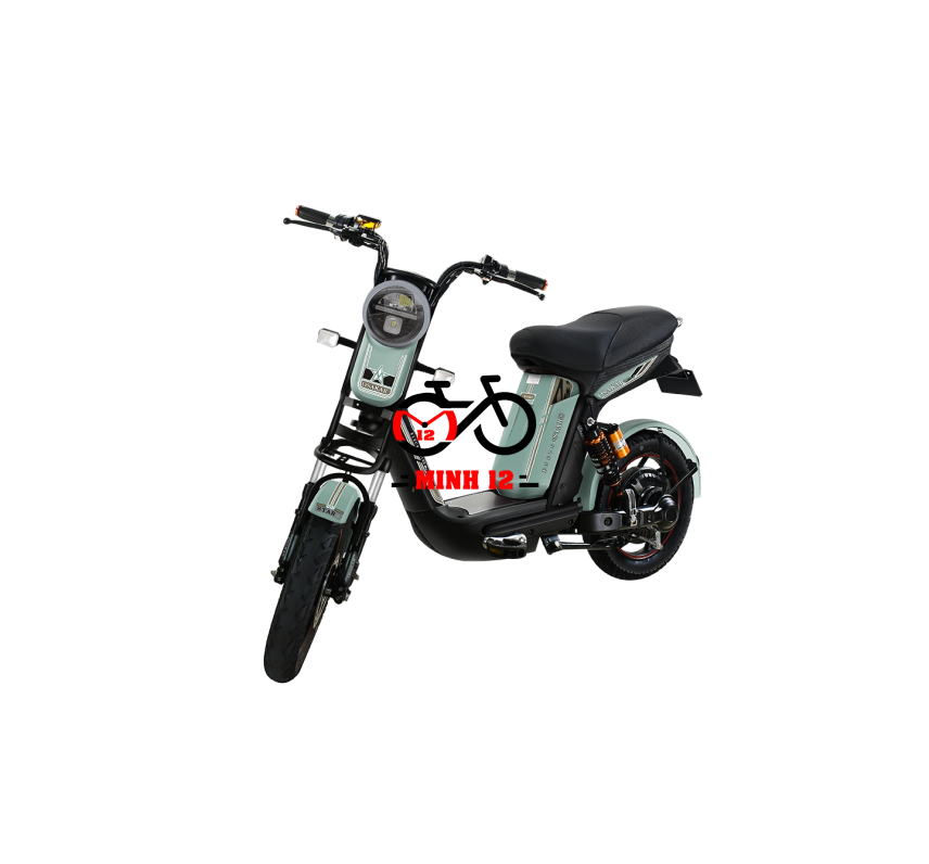 XE ĐIỆN OSAKAR STAR