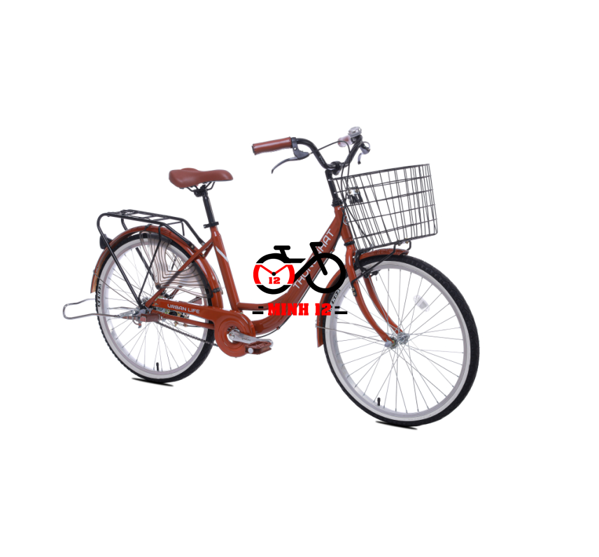 Xe Đạp Thống Nhất LD 24-01 24 inch