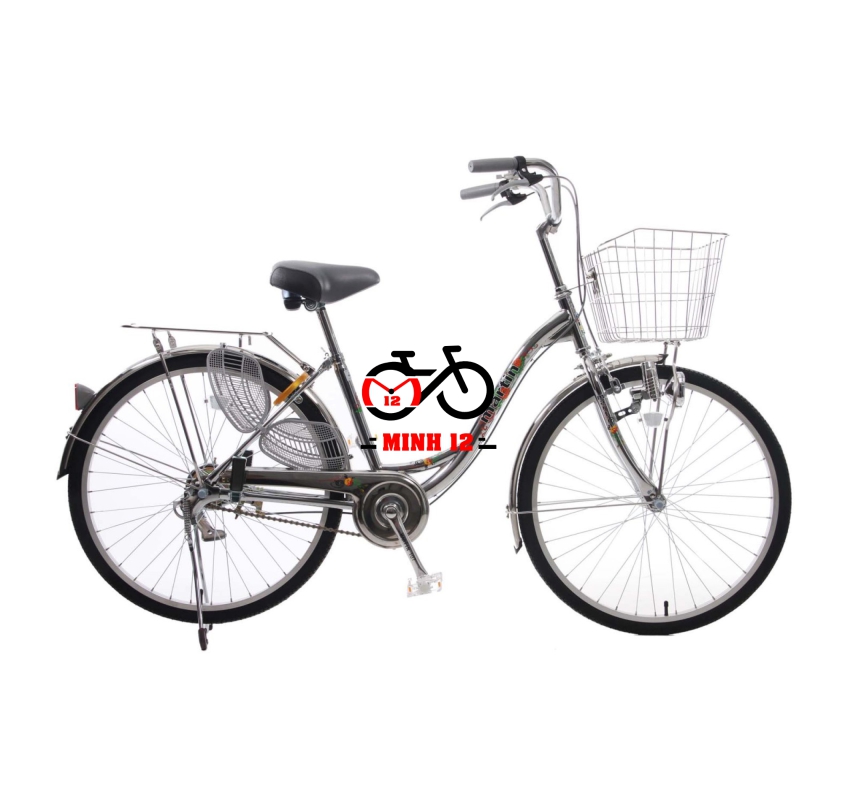 Xe đạp Martin 107 24 Inch