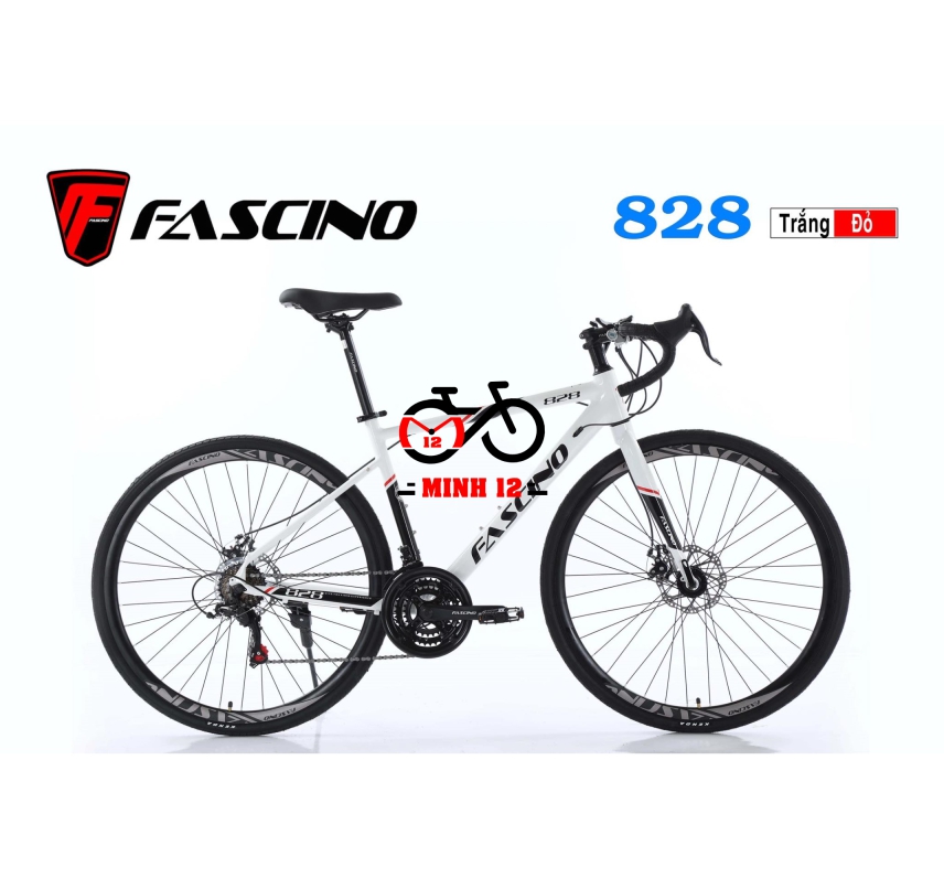 XE ĐẠP THỂ THAO FASCINO 828
