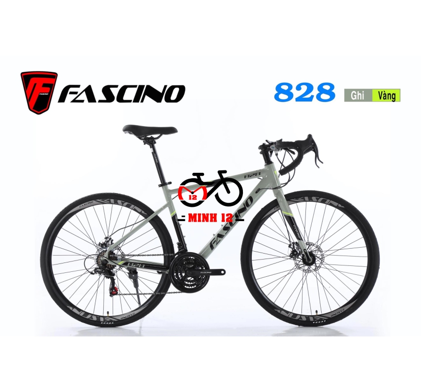 XE ĐẠP THỂ THAO FASCINO 828