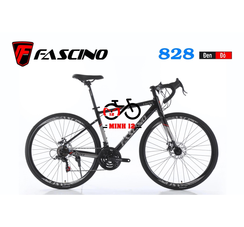 XE ĐẠP THỂ THAO FASCINO 828