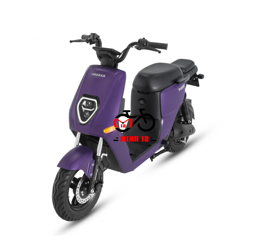 XE ĐIỆN OSAKAR HEIDI 