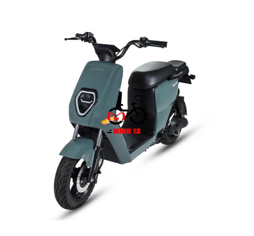 XE ĐIỆN OSAKAR HEIDI 